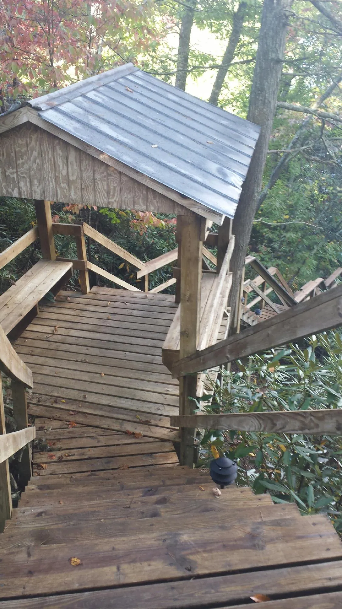 Metal roofed shelter over wooden steps on a wooded walkway — Skylight Repair & Installation work by our crew in Deweyville